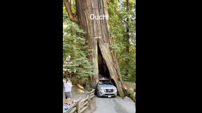 Gambar untuk artikel berjudul Drive-Through Redwood Menjadi Jebakan Turis Literal Bagi Nissan Pathfinder